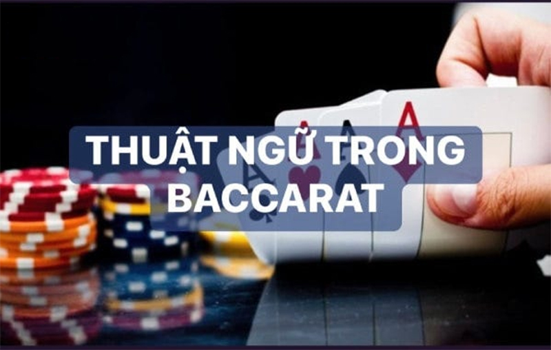 Các thuật ngữ Baccarat phổ biến