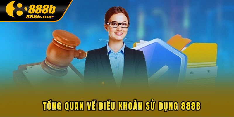 Tìm hiểu cơ bản về điều khoản sử dụng 888B